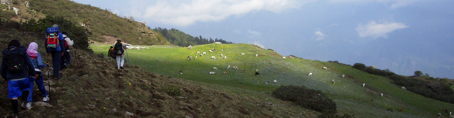 dodital-circular-trek