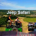 jeeps-safari