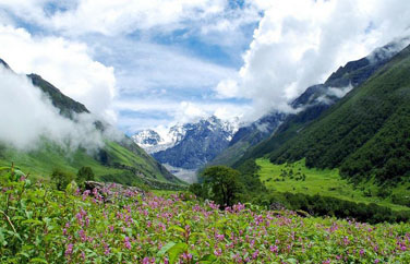 damdhar-kandi-pass-trek-photos