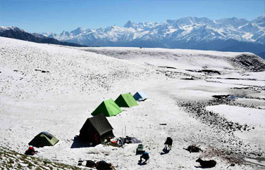 dayara-bugyal-trekking