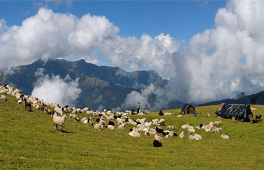 shesartal-trekking-photos