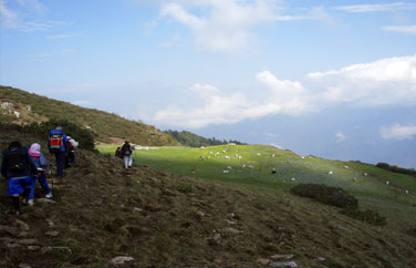 trek-to-dodital-circular